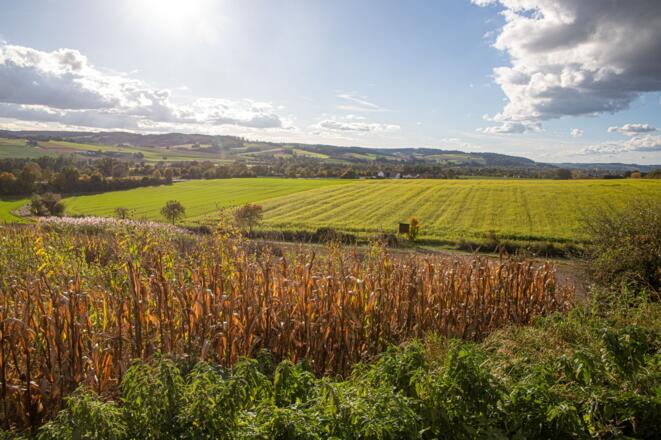 Lengham St Ulrich Ausblick