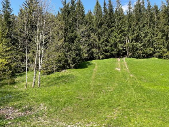 Pfannstein-Trail - Micheldorf