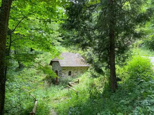 Glasenberg Trail - Maria Neustift