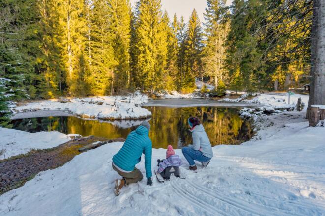 20230124 Vier-Jahreszeitenweg Bo10 Brandtner Tal-30.jpg