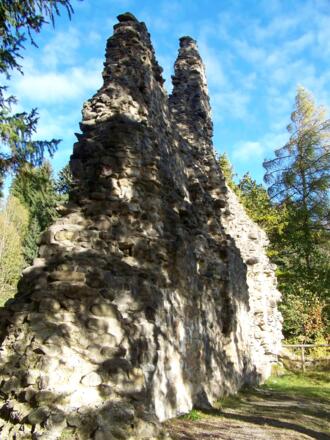 Ruine Burgberg