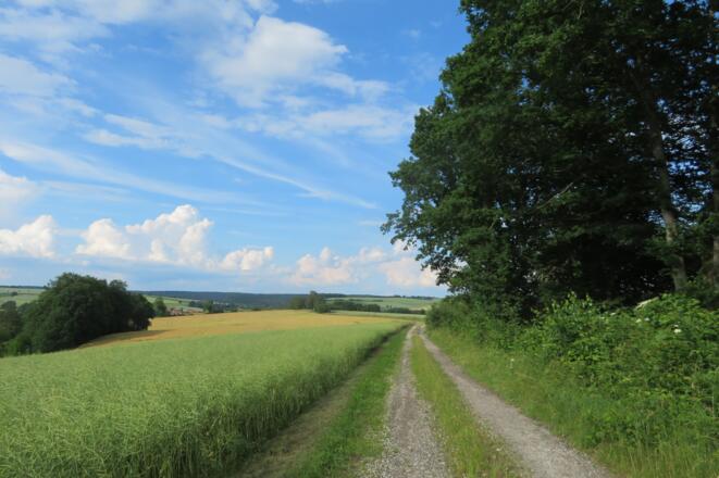 Blick auf Prölsdorf