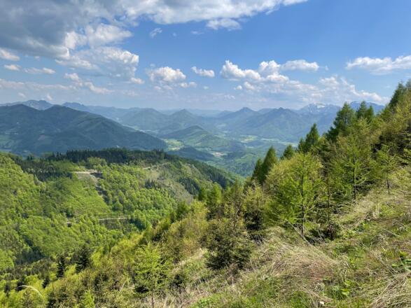 Pfannstein-Trail - Micheldorf