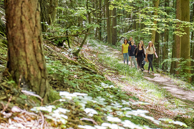 Auf dem Schlangenweg