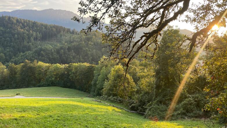 Altpernstein-Trail - Micheldorf