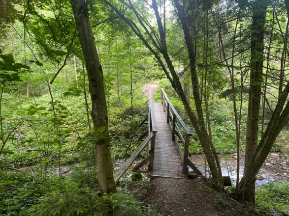 Glasenberg Trail - Maria Neustift