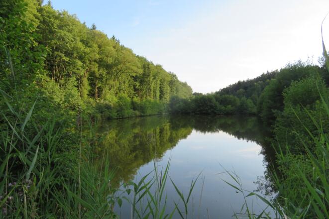 Weiher im Schulterbachtal