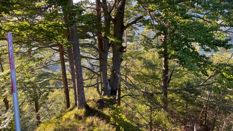 Lustiges Kegerl - Steyrdurchburch Trail