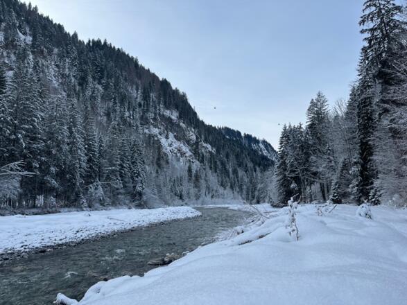 Blick talauswärts mit der Seilbahn Sonntag-Stein im Hintergrund