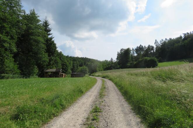 Rothbachtal