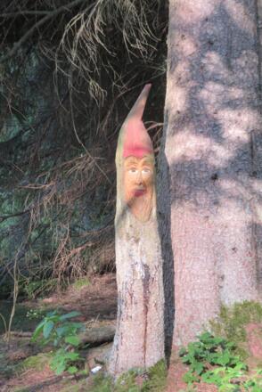 Waldzwerg