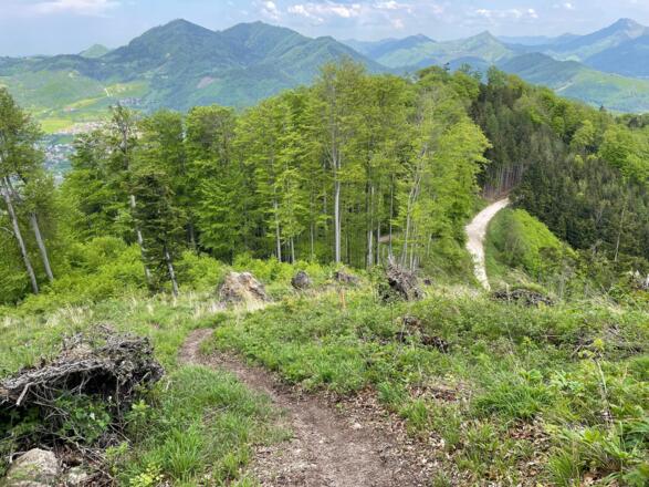 Pfannstein-Trail - Micheldorf