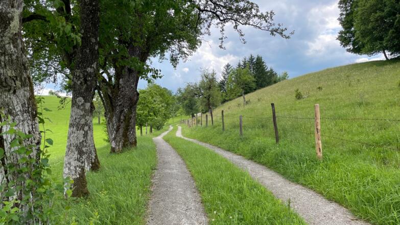 Glasenberg Trail - Maria Neustift