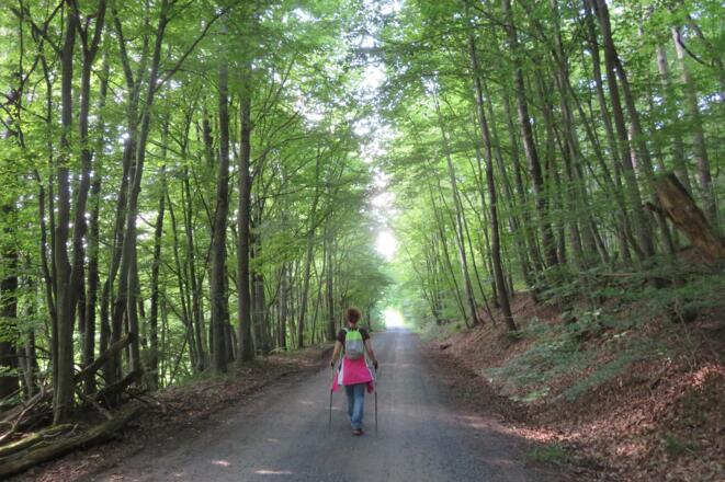 Weilersbachtal
