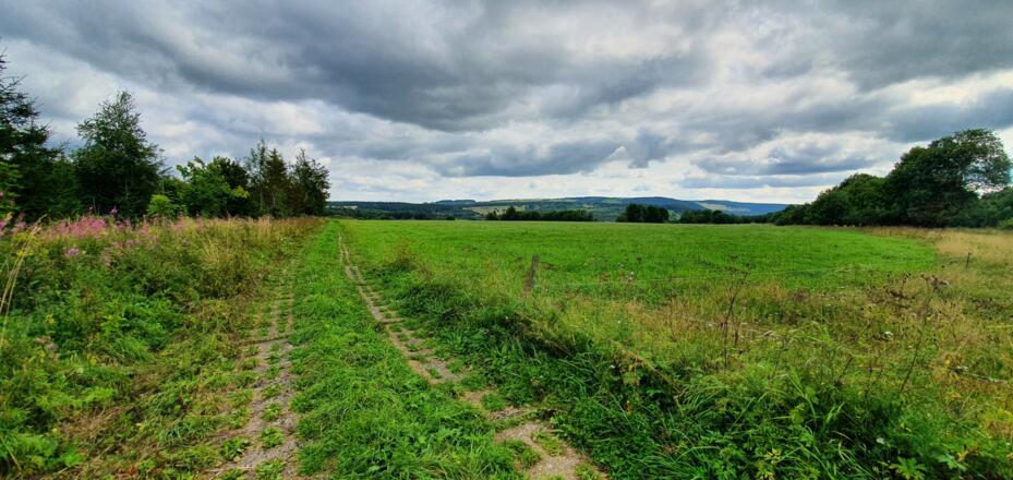 Kolonnenpfad bei Birx