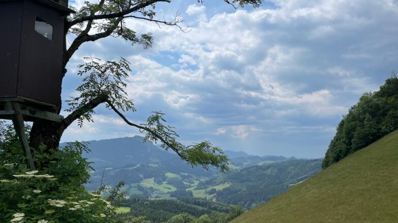 Glasenberg Trail - Maria Neustift