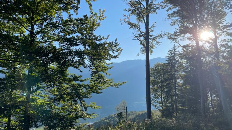 Lustiges Kegerl - Steyrdurchburch Trail