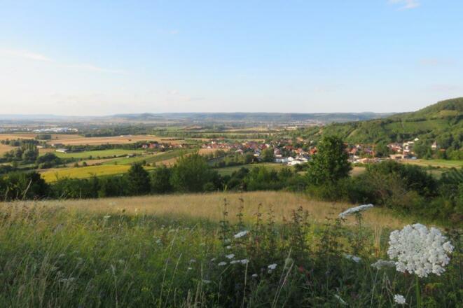 Blick unterhalb der Weinberge Richtung Zell