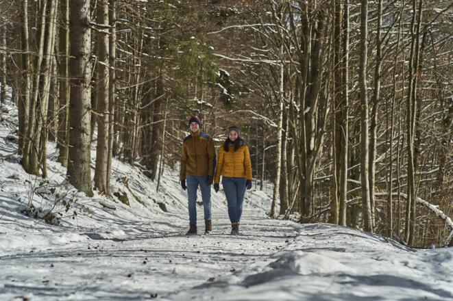 Winterwandern / Vierjahreszeitenweg