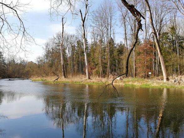 Amperschleife zwischen Langenbach und Inkofen