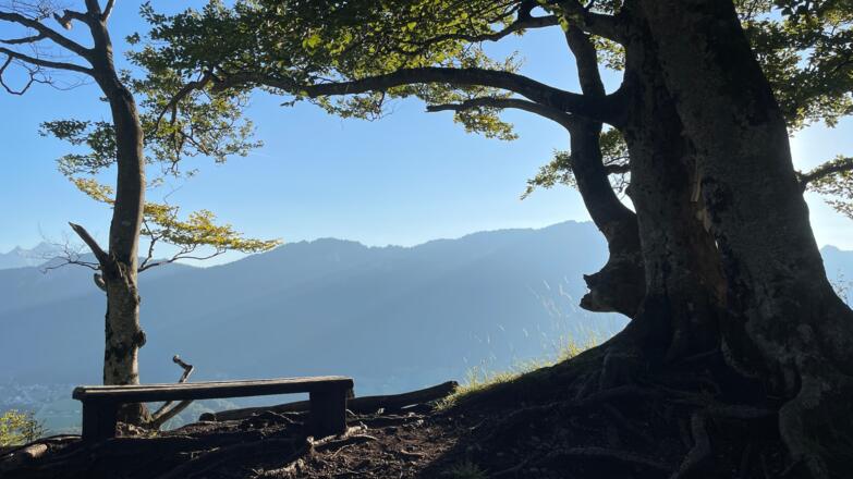 Lustiges Kegerl - Steyrdurchburch Trail