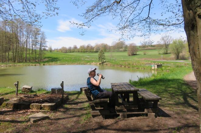 Rastplatz am Weiher