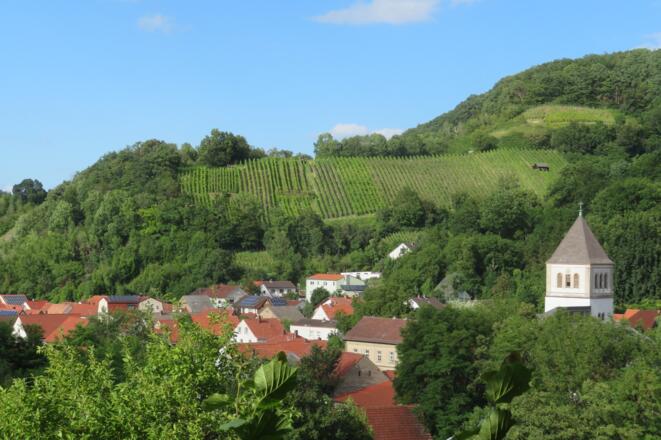 Blick auf Zell a. Ebersberg und Schlossberg