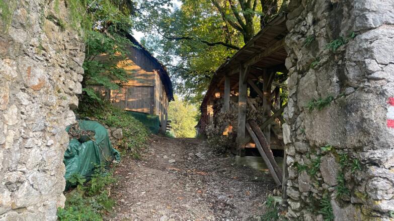 Altpernstein-Trail - Micheldorf