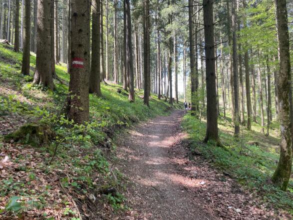 Pfannstein-Trail - Micheldorf