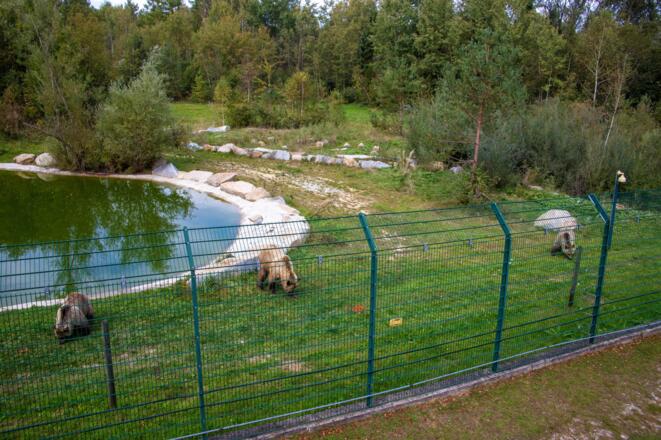 Von einer Aussichtsplattform hat man einen guten Blick auf den Bären-park. Die „Einwohner“ haben eine meist traurige Vorgeschichte und ge-nießen hier ihr Dasein.