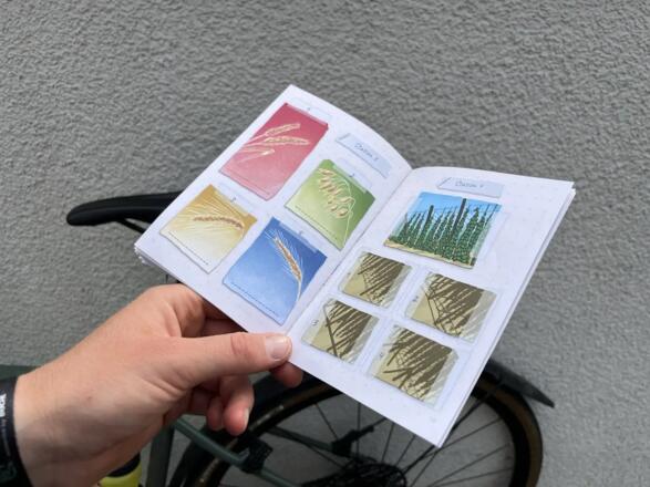 Multimedia Audioguide auf dem Rad mit der Locandy App durch die Region 10