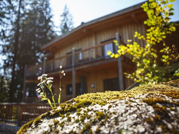 Haus Aussen Ost-Detail_Sommer