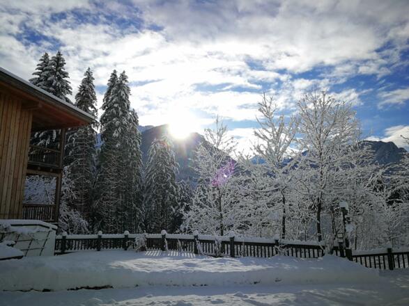 IMG_20171216_101920_2048-1536