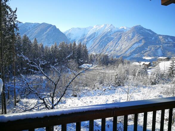 IMG_20171202_101137_2048-1536