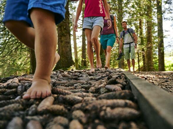 Füße-am-Barfuß-Weg-(c)-Alex-Kaiser---Alpenregion-