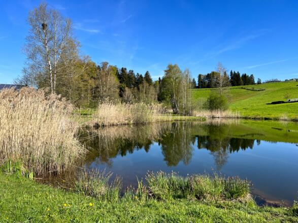 Dörnlesee in Lingenau