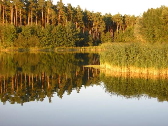 Der Rothsee