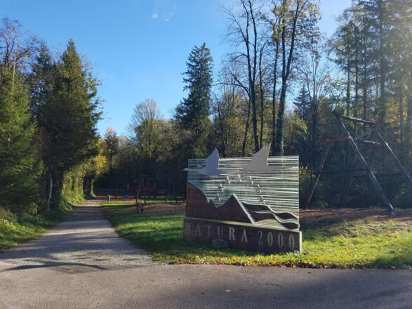Der Eingang in die Wunderwelt Taugl wird ganz besonders von den Kindern geschätzt.