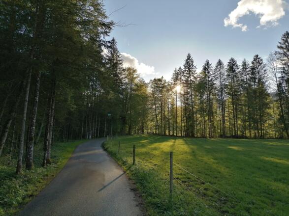 Enge Vorsäß in Mellau