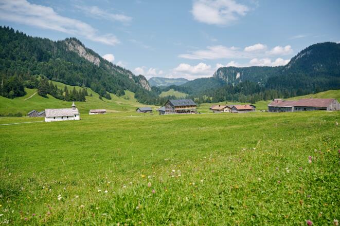 Schönenbach im Sommer
