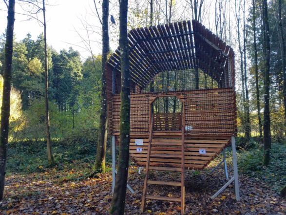 Das Vogelhaus zum Begehen im Tauglwald in Bad Vigaun.