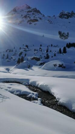 Lizumer Bach kurz vor der Ankunft bei der Hütte
