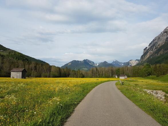 Enge Vorsäß in Mellau
