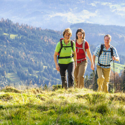 Waibelhof Wandern Berge