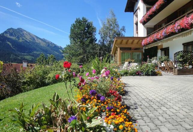 Blumen vielfalt