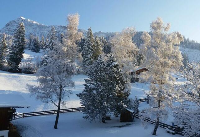Blick nach Norden