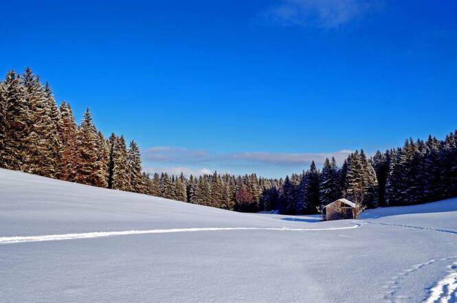 Landschaft bei Nesselwang