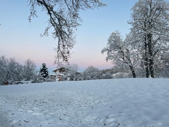 https://images.bs.ds-srv.net/objekt2_pics/obj_full_31624_010.jpg