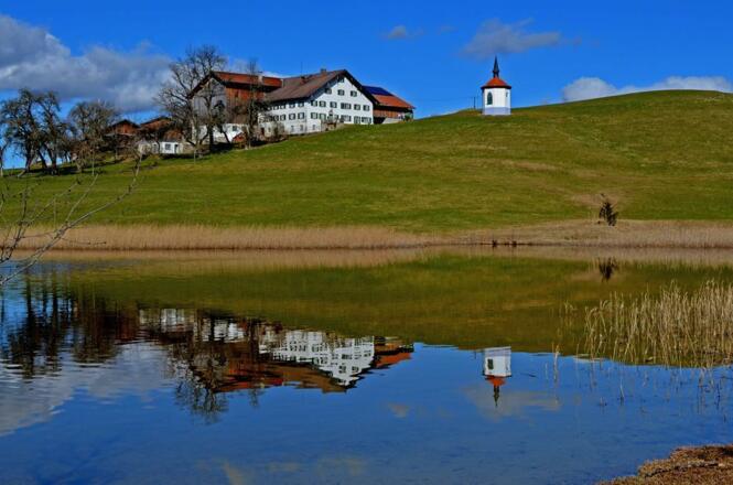 Hergratzried im Frühling