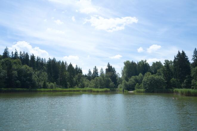 Buxheimer_Weiher,_Glücksquellen-Weg